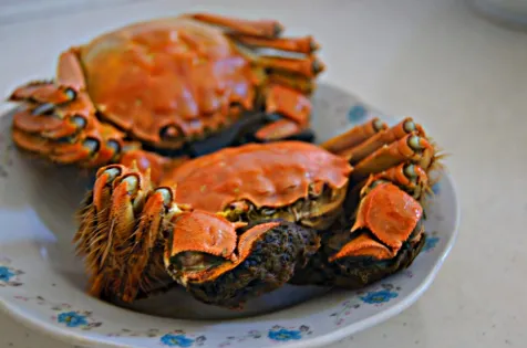 螃蟹|螃蟹蒸熟了放冰箱保鲜第二天可以吃吗