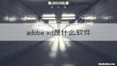 adobe xd是什么软件
