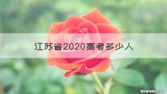 江苏省2020高考多少人