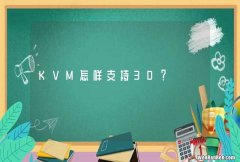 KVM怎样支持3D？