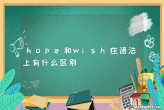 hope和wish在语法上有什么区别