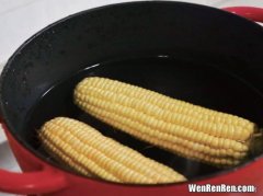 新鲜玉米粒怎么保存到冬天,玉米保存只需要一个小方法 如何保存玉米