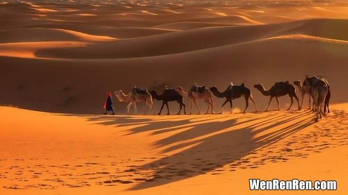 世界上最大的沙漠是哪个沙漠,世界上最大的沙漠是哪个沙漠