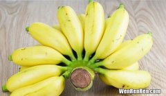 香蕉和芭蕉的区别,香蕉和芭蕉的区别