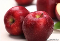 苹果嘎啦系的特点和口感,推荐一款又甜又脆的苹果