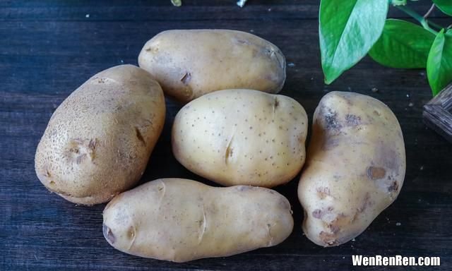 买回来土豆怎么保存不让它发芽