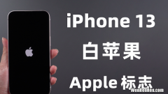 iphone7plus更新后白苹果无法开机 ios13白苹果解决方法