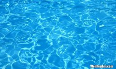 为什么泳池的水温一定要比人体温度低呢