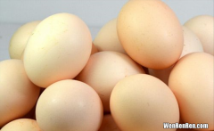 鸡蛋和它一起吃七天排出体内毒素