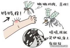为什么有的人不招蚊子,同样是人同样在一个屋，为何有的被蚊子叮有的则不会？