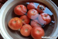 冬天西红柿怎么保存时间长一点 西红柿怎么保存到冬天吃,西红柿的保存最佳方法