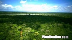 亚马逊森林被称为什么,亚马逊雨林为什么会被称为“地球之肺”？