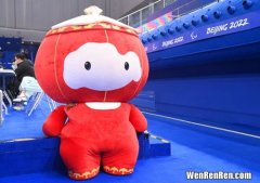 北京冬残奥会吉祥物,2022残奥会吉祥物是什么？