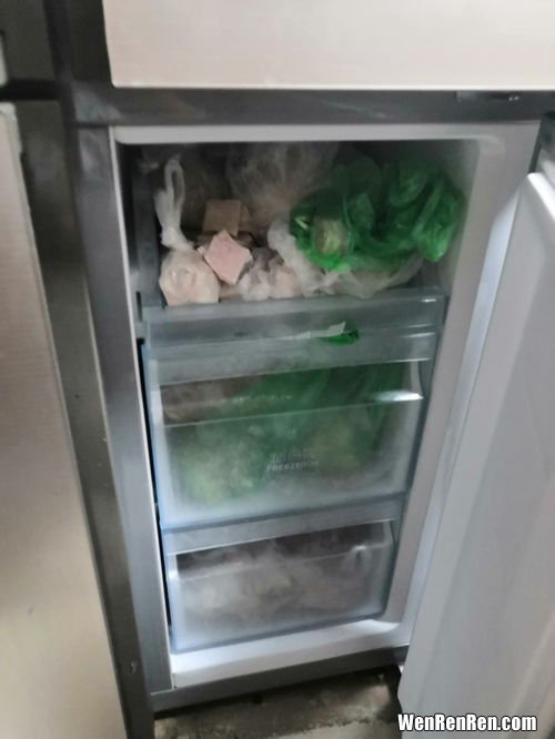 冰箱冷冻室温度一般多少度,电冰箱冷冻室是多少度？