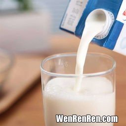 牛奶是纯净物还是混合物,纯牛奶是纯净物吗