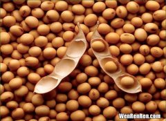 吃大豆卵磷脂有副作用,大豆卵磷脂的副作用是什么