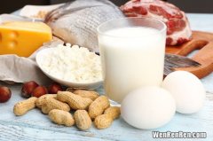 富含蛋白质的食物有哪些,富含营养高蛋白的食物有哪些