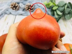 番茄发霉了切掉发霉的部分还能吃吗,西红柿发霉 剩下的部分能吃么
