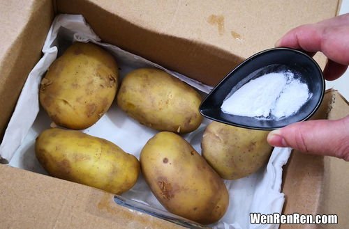 土豆怎么保存时间长还新鲜,怎么保存土豆土豆长期保鲜方法