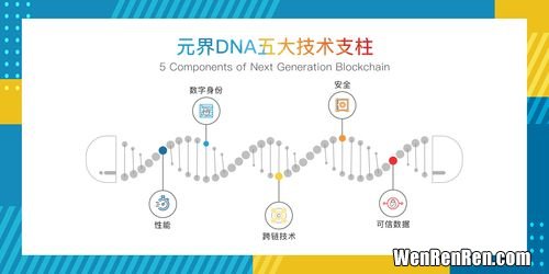单链DNA是什么意思,一个dna分子是几条链啊，为什么这个题说有单链的dna