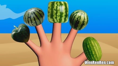 拇指西瓜怎么吃,什么样水果越小越可爱？