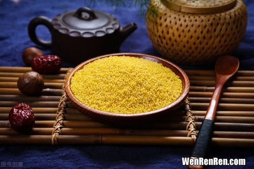 小米营养价值及功效与禁忌,小米功效及营养价值 小米的禁忌