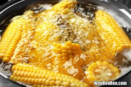高压锅煮玉米需要多长时间,玉米高压锅多久能熟 玉米用高压锅多长时间能熟