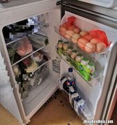 小青龙可以放冰箱保存吗,小青龙放冰箱能放多久