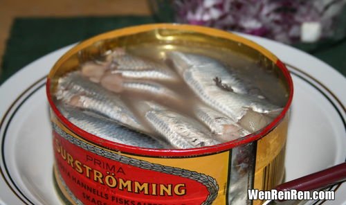 鲱鱼罐头怎么吃,鲱鱼罐头有什么营养?