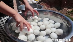 鹅蛋能放多久,鹅蛋可以冰箱冷藏保存多久