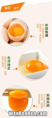 芦花鸡蛋和普通鸡蛋的区别,黑凤鸡蛋和芦花鸡蛋区别