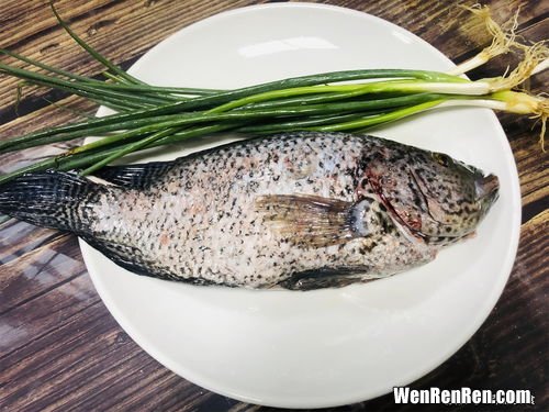 做鱼之前怎么腌制去腥味,做鱼前怎么样处理鱼，才不会有鱼腥味？
