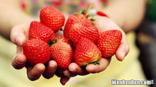 草莓储存方法是什么,草莓的保存方法有哪些？