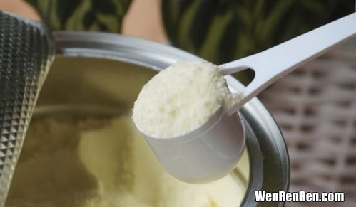 豆奶粉的正确冲泡方法,豆奶粉的正确冲泡方法 豆奶粉怎么冲
