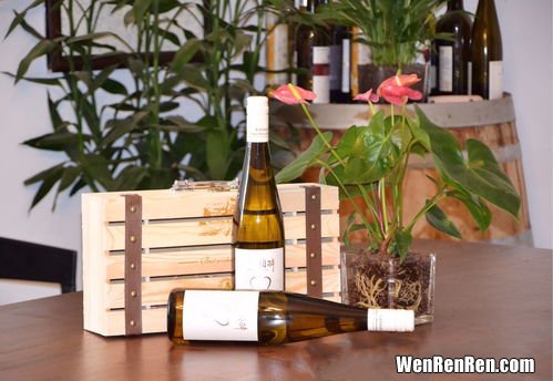 法国葡萄酒的制作方法,法国红酒的酿造法
