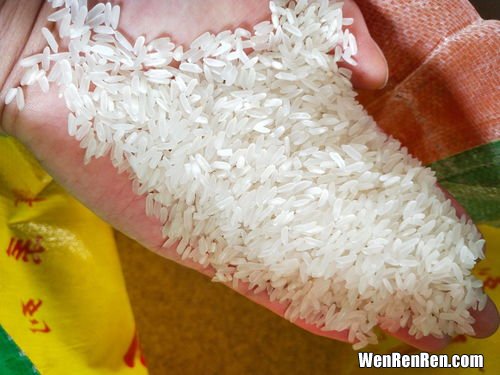 粳米和籼米的区别,籼米和梗米的区别