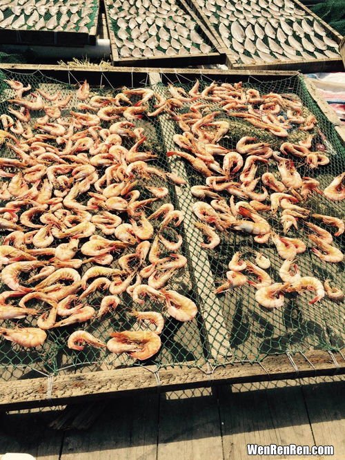 皮皮虾的功效与禁忌,皮皮虾的相克食物 皮皮虾不能和哪些食物一起吃？