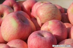富硒苹果和普通苹果区别,富硒红富士苹果是怎样生产的？