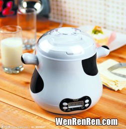 酸奶机可以做什么美食,怎么做好吃，小熊酸奶机自制酸奶的家常做法