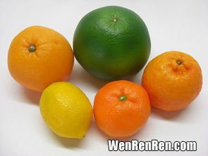 金桔和橘子有什么区别,金桔和橘子有什么区别呢？