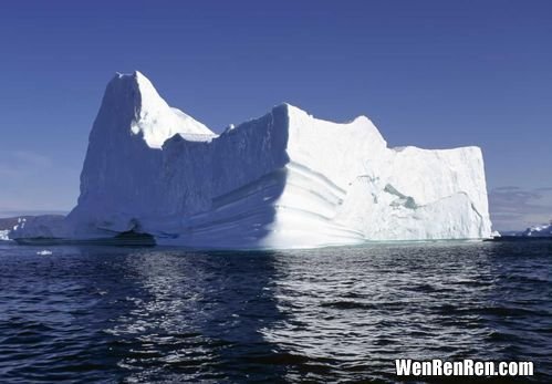 南极冰川有什么危险动物(会攻击人 南极冰川有什么危险动物,南极冰川有什么危险动物