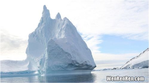 南极冰川有什么危险动物(会攻击人 南极冰川有什么危险动物,南极冰川有什么危险动物