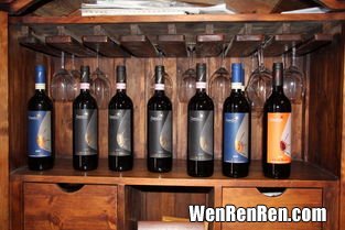 红酒可以放冰箱吗,红酒可以放冰箱保鲜吗