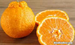 耙耙柑与橘子的区别,耙耙柑与丑橘的区别