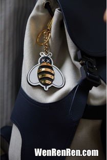 蜜蜂是什么牌子的衣服,小蜜蜂标志代表的是什么牌子？