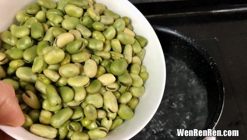 蚕豆不剥壳能放多久,家里有很多新鲜的蚕豆吃不完，该如何保存蚕豆呢？
