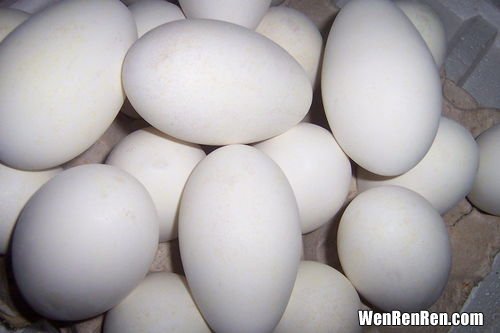 鹅蛋有点变质还能吃吗,臭鹅蛋能吃吗?